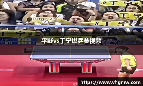 平野vs丁宁世乒赛视频